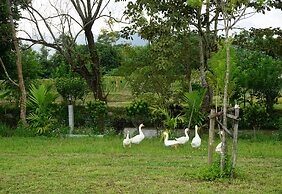 Ban Suan Tawan Chiang Dao