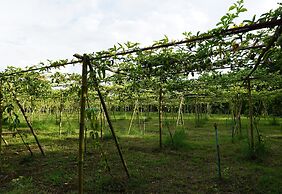 Ban Suan Tawan Chiang Dao