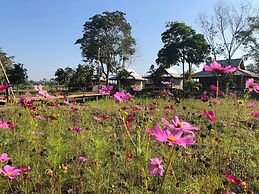 Ban Suan Tawan Chiang Dao