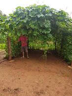 Sai Yok Noi Blue Mountain Resort