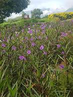 Sai Yok Noi Blue Mountain Resort