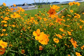 Haruno Guest House - Hostel