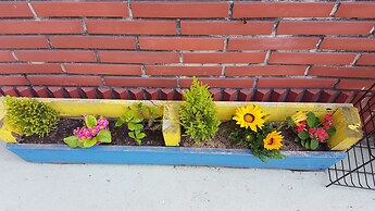 Wellbeing Guesthouse