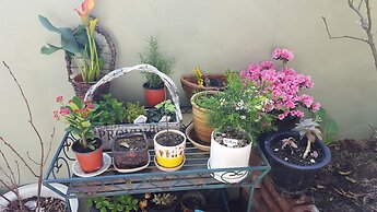 Wellbeing Guesthouse