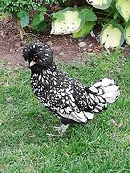 Manoir des Lions de Tourgéville