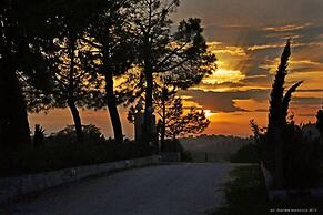 Agriturismo al Colle