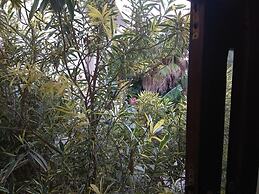 Residence Manel Cabo 2