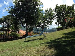 Top of the Hill n. 6