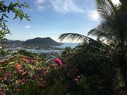 Top of the Hill n. 6