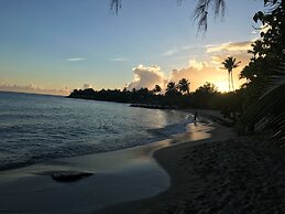 Top of the Hill n. 6