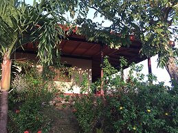 Top of the Hill n. 6