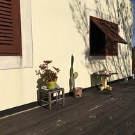 Top of the Hill n. 6