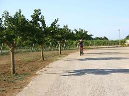 Tenuta Vigna Corallo