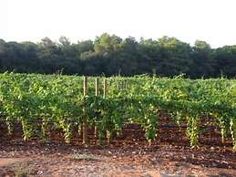 Tenuta Vigna Corallo