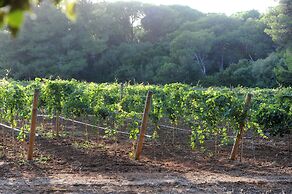 Tenuta Vigna Corallo