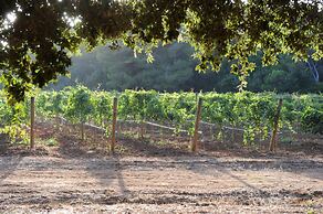 Tenuta Vigna Corallo