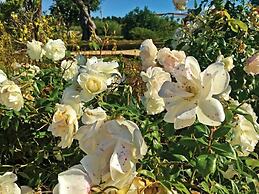 Tenuta Vigna Corallo