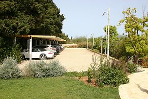 Tenuta Vigna Corallo