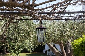 Tenuta Vigna Corallo