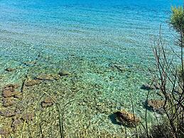 Tenuta Vigna Corallo