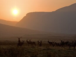 Alladale Wilderness Reserve