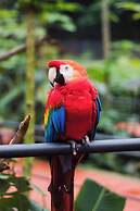 Maper Mardan - Beira Rio