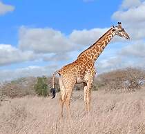 Lake Jipe Safari Camp