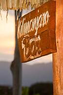 Lake Jipe Safari Camp