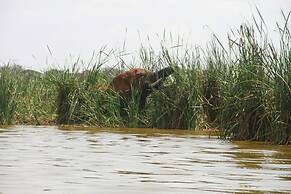 Lake Jipe Safari Camp
