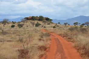 Lake Jipe Safari Camp