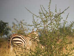 Lake Jipe Safari Camp