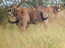 Lake Jipe Safari Camp