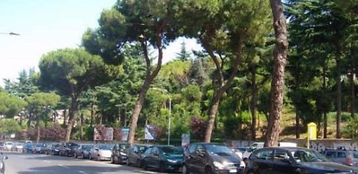 Magnolia St.Peter's Suites