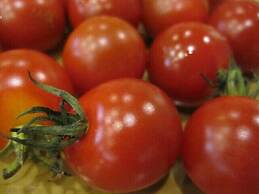 Gensen no Yado Maruishi Ryokan