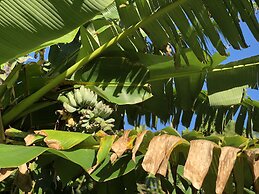 private hotel WALKERS NAKIJIN