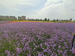 Yinchuan International Convention Centre