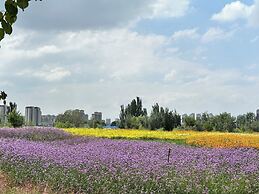 Yinchuan International Convention Centre