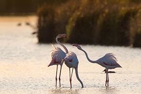 Bordoy Grand House Algarve