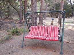 Yosemite Paradise Inn