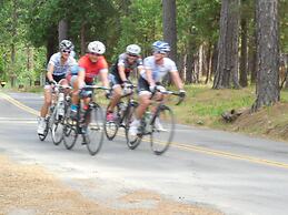 Yosemite Paradise Inn