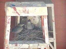 Yosemite Paradise Inn