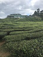 Misty Forest II - 9 Pax Next To Night Market