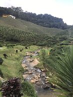 Misty Forest II - 9 Pax Next To Night Market