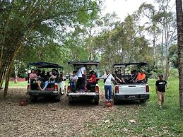 Misty Forest II - 9 Pax Next To Night Market