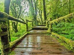 Misty Forest II - 9 Pax Next To Night Market