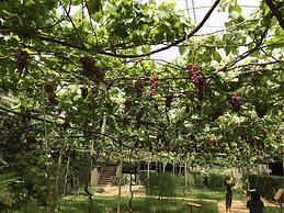 Blue Romance 2 Cameron Highlands