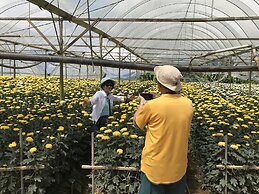 Blue Romance 2 Cameron Highlands
