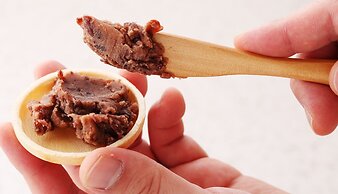 Hotel Musse Ginza Meitetsu