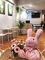 Tourist Bunny - Hostel