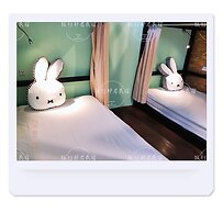 Tourist Bunny - Hostel